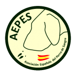 logo transparente