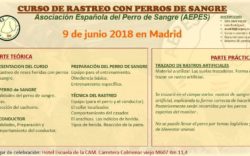 Curso de rastreo Madrid